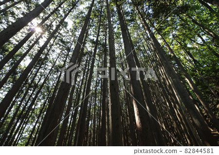 Climbing Bonooreyama in Hanno City, Saitama Prefecture, on October 3, 2021 Climbing Bonooreyama in Hanno City, Saitama Prefecture, on October 3, 2021 82844581