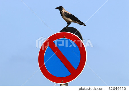 road signs and various signs on roads and parks in Israel road signs and various signs on roads and parks in Israel 82844630