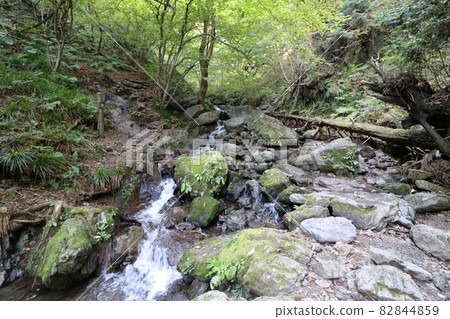 2021 年 10 月 3 日在埼玉縣飯能市攀登娑羅山 2021 年 10 月 3 日在埼玉縣飯能市攀登娑羅山 82844859