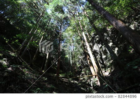 Climbing Bonooreyama in Hanno City, Saitama Prefecture, on October 3, 2021 Climbing Bonooreyama in Hanno City, Saitama Prefecture, on October 3, 2021 82844896
