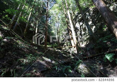Climbing Bonooreyama in Hanno City, Saitama Prefecture, on October 3, 2021 Climbing Bonooreyama in Hanno City, Saitama Prefecture, on October 3, 2021 82844898