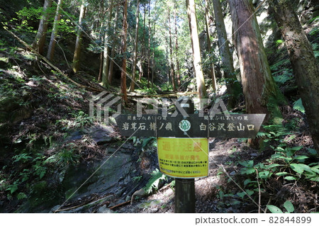 Climbing Bonooreyama in Hanno City, Saitama Prefecture, on October 3, 2021 82844899
