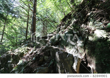 Climbing Bonooreyama in Hanno City, Saitama Prefecture, on October 3, 2021 Climbing Bonooreyama in Hanno City, Saitama Prefecture, on October 3, 2021 82844901