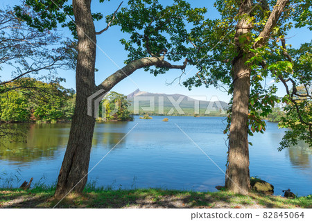 大沼國定公園_駒岳_活火山 82845064