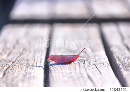Wood grain and fallen leaves Wood grain and fallen leaves 82845561