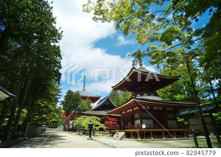 A soothing scene of the world heritage Koyasan Danjo Garan 82845779