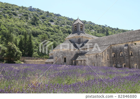 Southern France Provence Senanque Monastery Lavender Southern France Provence Senanque Monastery Lavender 82846880