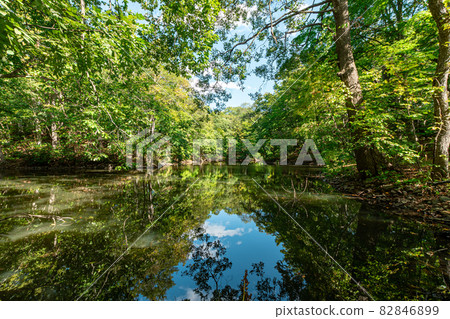 Onuma Quasi-National Park_Reflection_Lake Onuma 82846899