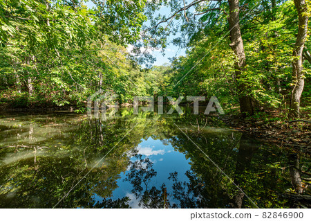 Onuma Quasi-National Park_Reflection_Lake Onuma Onuma Quasi-National Park_Reflection_Lake Onuma 82846900