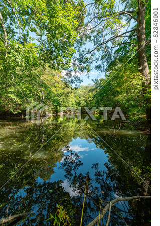Onuma Quasi-National Park_Reflection_Lake Onuma 82846901