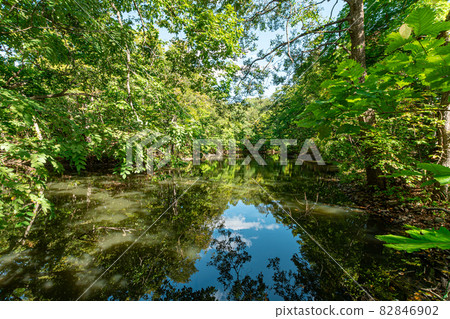 Onuma Quasi-National Park_Reflection_Lake Onuma 82846902