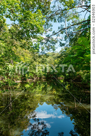 Onuma Quasi-National Park_Reflection_Lake Onuma 82846903