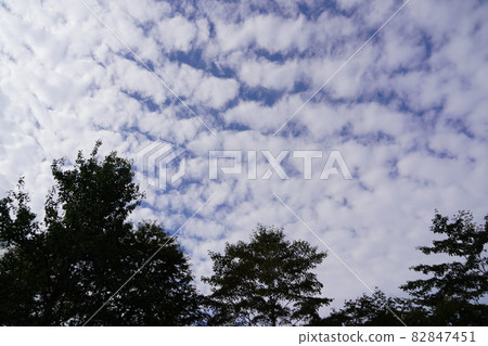 忽然,晴朗的秋空,出現了鱗片雲。我覺得那是秋天般的天空。 忽然,晴朗的秋空,出現了鱗片雲。我覺得那是秋天般的天空。 82847451