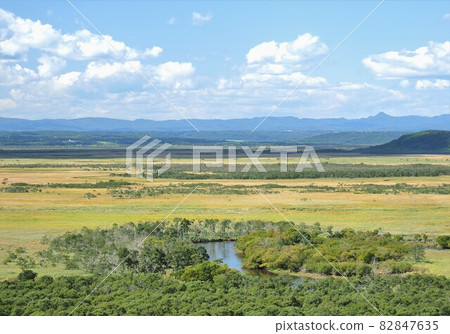 Kushiro Wetland, Hokkaido 82847635