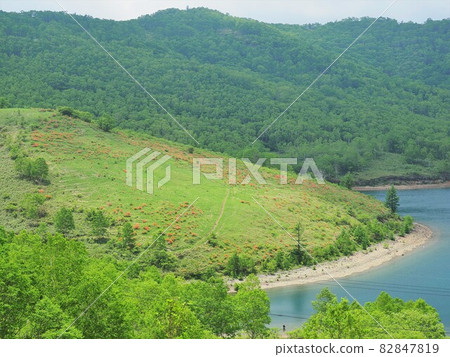 Gunma Prefecture, Nozori Lake and Japanese azalea Gunma Prefecture, Nozori Lake and Japanese azalea 82847819