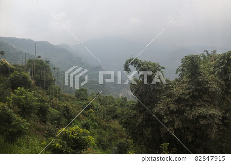 View of forest and mountain in national park in taiwan View of forest and mountain in national park in taiwan 82847915