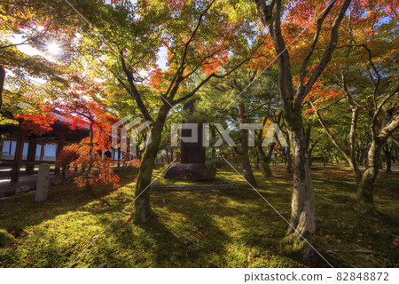 Tofuku-ji temple fall garden in Kyoto Tofuku-ji temple fall garden in Kyoto 82848872