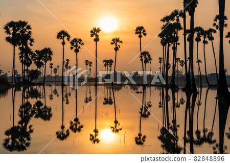 Silhouette cabin and palm tree with reflect at sunrise 82848896
