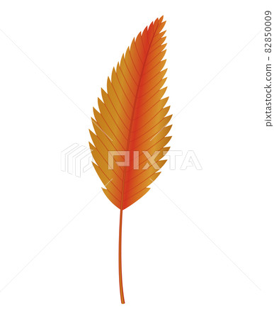 Autumn leave. Symbol with watercolor texture, vector illustration. Isolated design element tree leaf. Leave for seasonal greeting card design Autumn leave. Symbol with watercolor texture, vector illustration. Isolated design element tree leaf. Leave for seasonal greeting card design 82850009