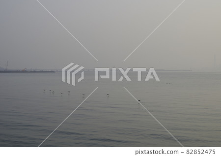 Chita Peninsula Mihama Town Sea and Wild Birds Chita Peninsula Mihama Town Sea and Wild Birds 82852475