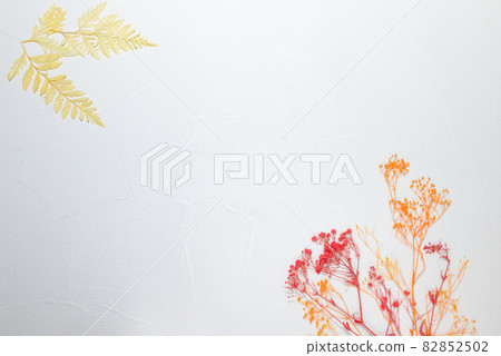 Leaves and gypsophila Leaves and gypsophila 82852502