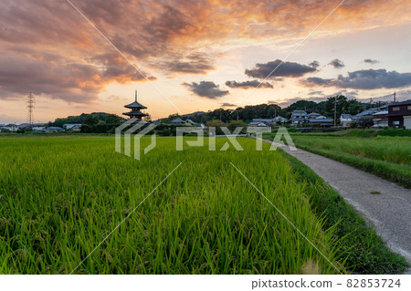 Evening view of rice fields and roads where you can see the triple tower of Hokiji Temple, a World Heritage Site in Ikaruga Town, Nara Prefecture 82853724