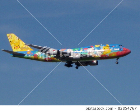 ANA Pokemon Jet (Flower Jumbo) ANA Pokemon Jet (Flower Jumbo) 82854767