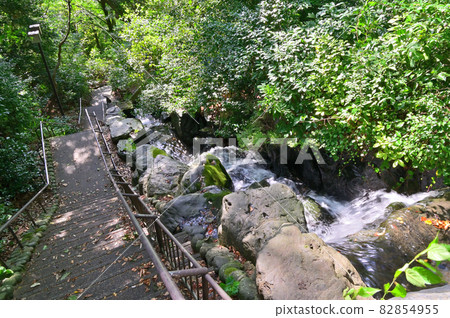 Kanazawa City Honda no Mori Art Path Kanazawa City Honda no Mori Art Path 82854955