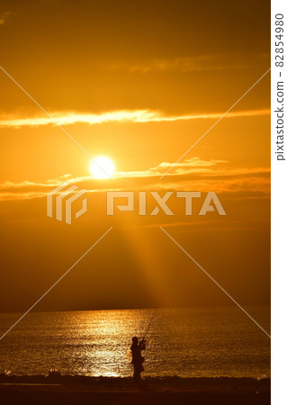 Angler Angler 82854980