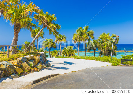 天城町 / 與名海灘（德之島） 82855108