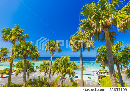 天城町 / 與名海灘（德之島） 82855109