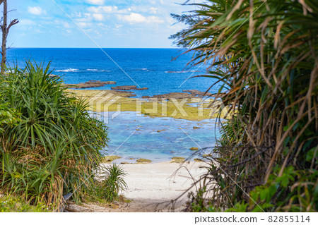 View of the sea (Tokunoshima Town, Kanami) 82855114