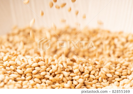 芝麻、白芝麻 82855169