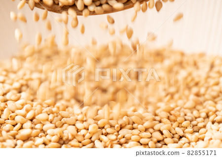 Sesame, white sesame 82855171