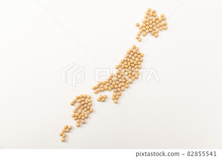 日本大豆地圖 82855541