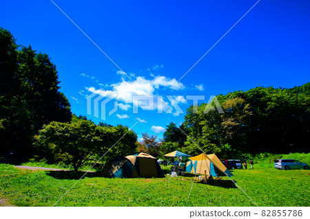 Starry forest campsite under the blue sky 82855786