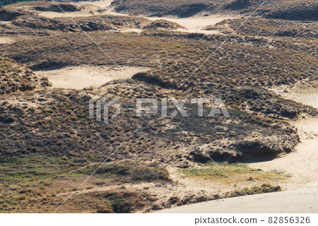 Sand pattern of Tottori sand dunes 82856326