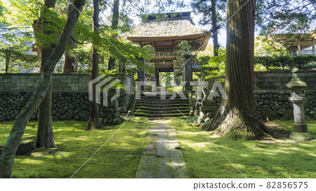 [Horagen Teishoji Temple] Mountain gate seen from the mossy precincts / Saku City, Nagano Prefecture 82856575