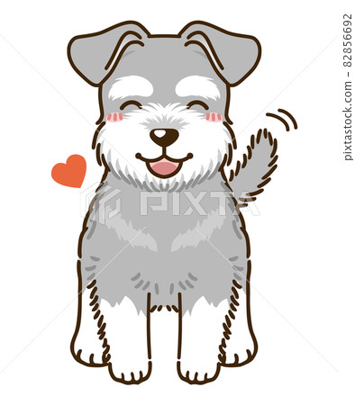 Natsuki 雪納瑞犬 鹽胡椒 插圖素材 圖庫