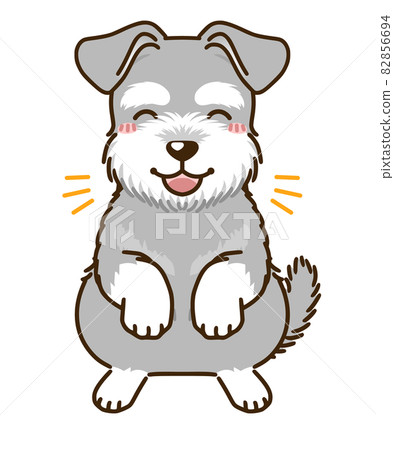 飄柔雪納瑞犬 鹽胡椒 插圖素材 圖庫