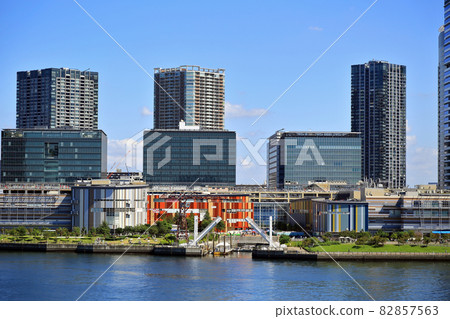東京江東區晴海豐洲市容府縣 東京江東區晴海豐洲市容府縣 82857563
