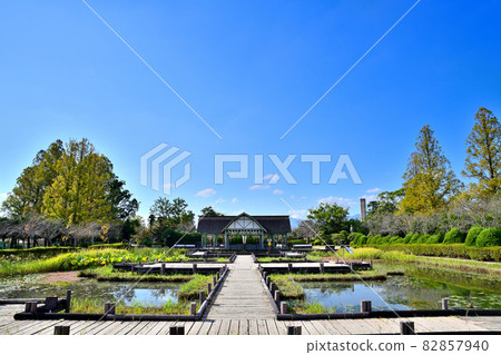 Saga City Kouno Park Dragonfly Pond 82857940