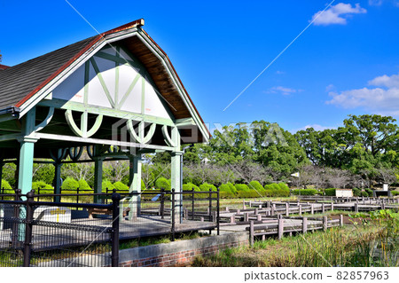 Saga City Kouno Park Dragonfly Pond 82857963