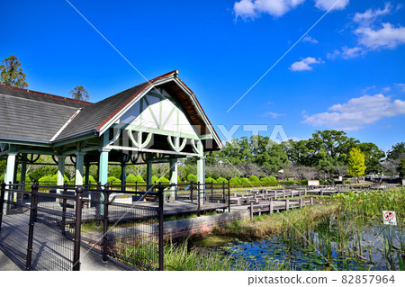 Saga City Kouno Park Dragonfly Pond 82857964