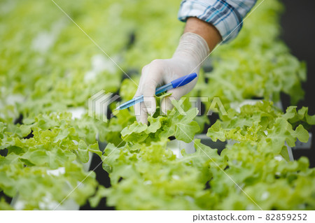 Hand of farmer with pen touching organic vegetable in plots for analyze research quality. 82859252