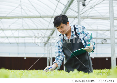Man farmers paperwork working analyze research quality organic vegetable in hydroponics greenhouse. Man farmers paperwork working analyze research quality organic vegetable in hydroponics greenhouse. 82859253