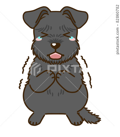 Frightened schnauzer (black) 82860782