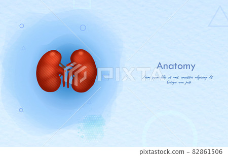Human bladder and treatment watercolor style. A concept hospital for wallpaper and web.	 82861506