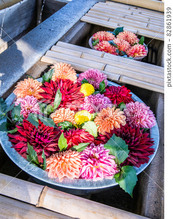 Autumn flower chozuya 82861939