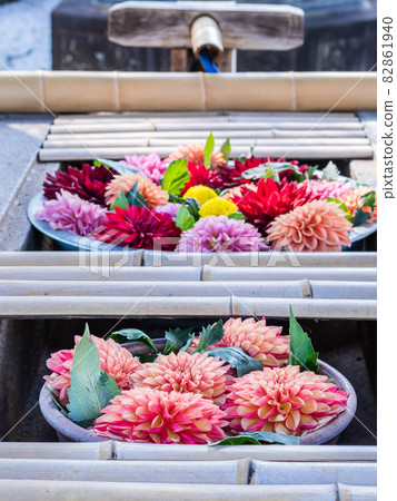 秋花長祖屋 82861940